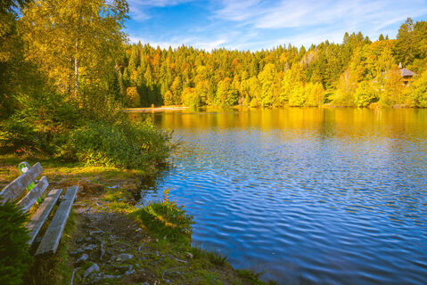 Klosterweiher mit Bank