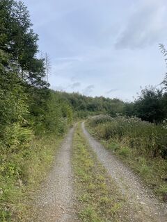 Photo de Sanca le long du parcours