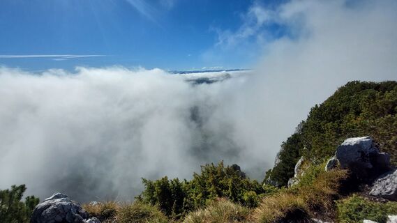 Photo de Thomas Berensmann le long du parcours