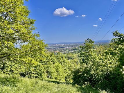 Foto från Sonja Huter under resans gång