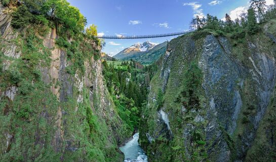 Hängebrücke Sommer