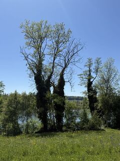 Foto von Babajo entlang der Tour