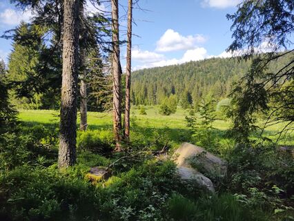 Der Schwarzwasen in der Abendsonne