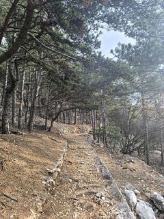 Zdjęcie z Darija Forgač wzdłuż trasy