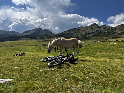 Foto von Stefano “Iddo” entlang der Tour