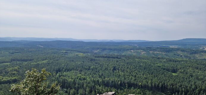 Foto de Ronny Kalusa a lo largo del recorrido