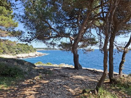 Photo from nordbergschnecke along the tour