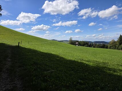 Foto von Zahner Petra entlang der Tour