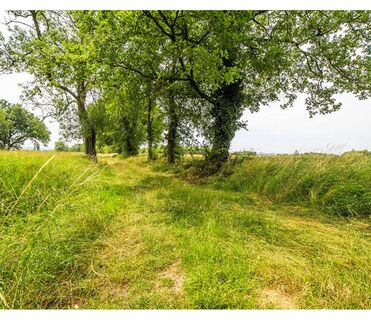 Der Plateau-Rundweg Damiatte