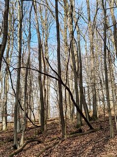 Zdjęcie z Julika Jármer wzdłuż trasy