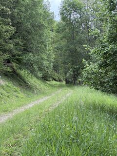Photo de Reinhard Frewein le long du parcours