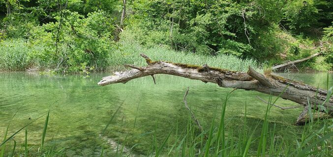 Fotografia z Denis Mazza na trase