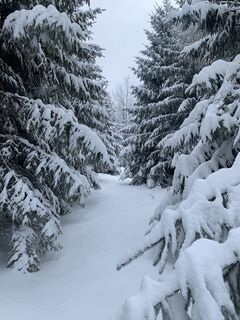 Foto von Kay Erler entlang der Tour