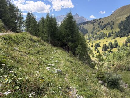 Foto von Stefanie Lübbert entlang der Tour