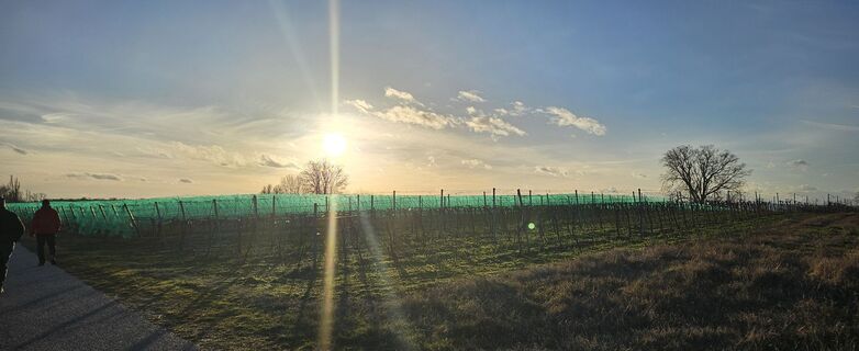 Foto de Tanjasusanna a lo largo del recorrido