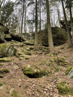 Foto da Ines Köhler lungo il tour