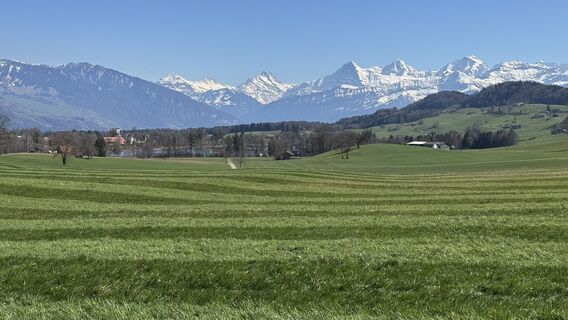 Foto från peter_oe under resans gång