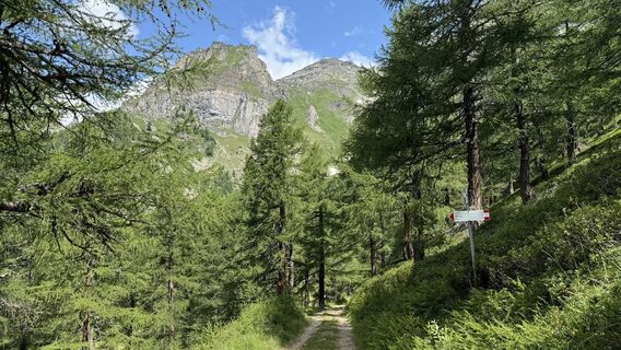 Foto von peter_oe entlang der Tour