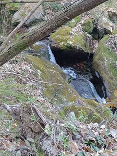 Foto von Claudio Bonin entlang der Tour