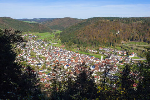 Blick auf Nusplingen
