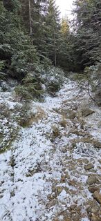 Foto van NiCi Hi langs de tour