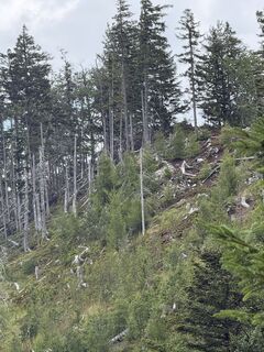 Photo de Gerhard Strasser le long du parcours