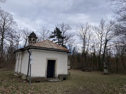 Foto de Brigitte Tanzberger a lo largo del recorrido