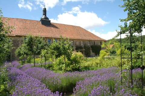 Kloster Michaelstein - Blick in die Gemüsegärten