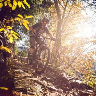 Biker auf dem Mayentset Bike oberhalb von Conthey