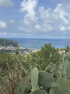 Foto fra Moni Tschol underveis på turen