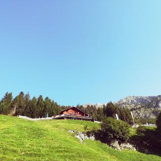 Thaurer Alm