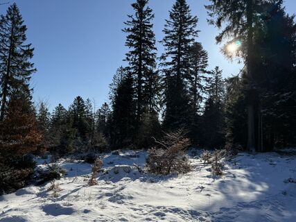 Fotografie de la Norbert Herbig de-a lungul turului
