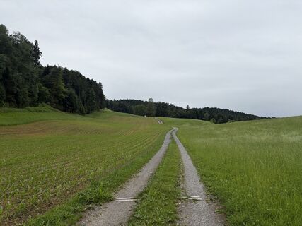 Photo de Beat A Wicki le long du parcours