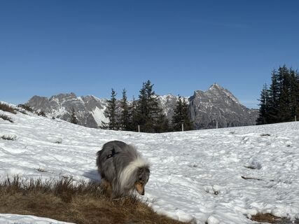 Foto von Csaba Veres 1 entlang der Tour