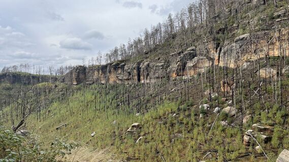 Photo de Ma Wa le long du parcours