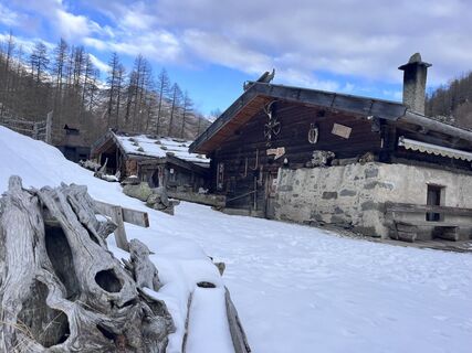 Fotografija s spletne strani Carlos.Randow na poti