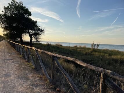 Fotografia z Alberto Ghiretti na trase