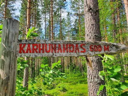 Die Bärenhöhle kann über einen geführten Pfad erreicht werden.