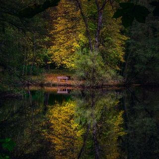 Herbstliches vom Pfannwaldsee