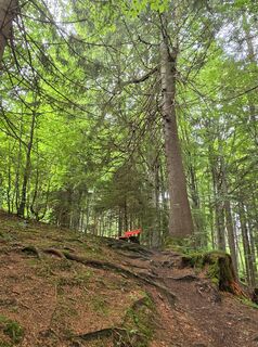 Foto von Gudrun Lippert entlang der Tour