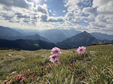 Fotografie z Natur_erleben_dg na trase