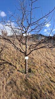 Foto von Alois Voglreiter entlang der Tour
