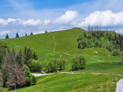 Foto von Urs Schelbert entlang der Tour