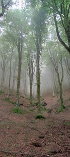 Photo de Franco Bini le long du parcours