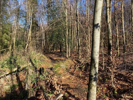 Trail Tour 47