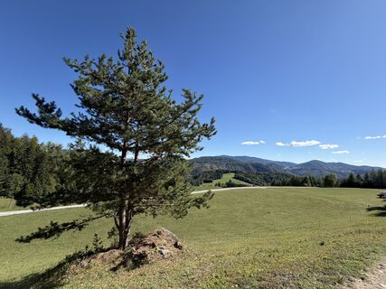Foto de Gerti Glettler a lo largo del recorrido