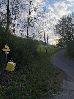 .. und auf dieser leicht bergan zur Sonnenpromenade, die Serpentine ausgehend (es gibt auch eine Direttissima, aber in der Früh ists besser es ned zu gach anzugehen :)