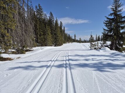 Fotografija s spletne strani Brigitta Madár na poti