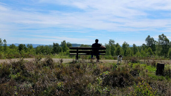Die Trupbacher Heide bietet eine ungewöhnliche Natur und viele Aussichtspunkte zum Verweilen