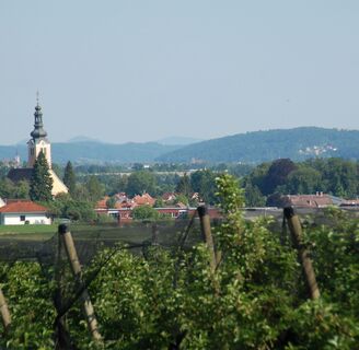Aussicht in die Oststeiermark